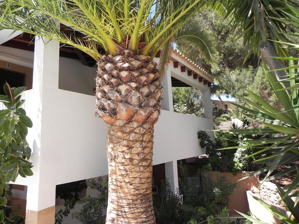 Viviendas Turisticas Vacacionales Allida Playa Migjorn Exterior photo